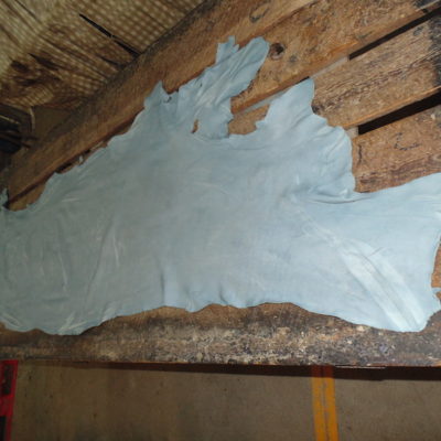 PIEL DE RES EN WET-BLUE 
