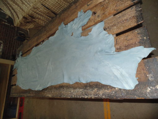 PIEL DE RES EN WET-BLUE 