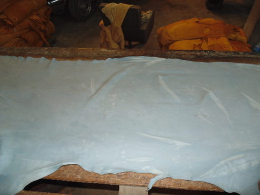 PIEL DE RES EN WET-BLUE  - Imagen 3