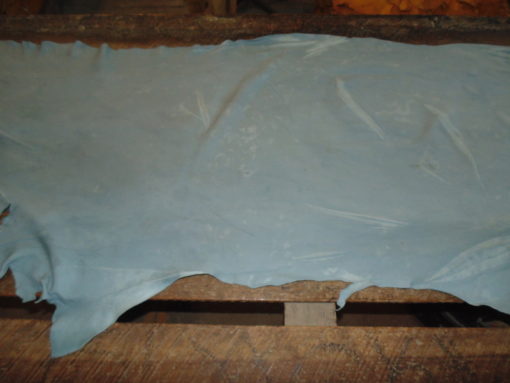 PIEL DE RES EN WET-BLUE  - Imagen 2