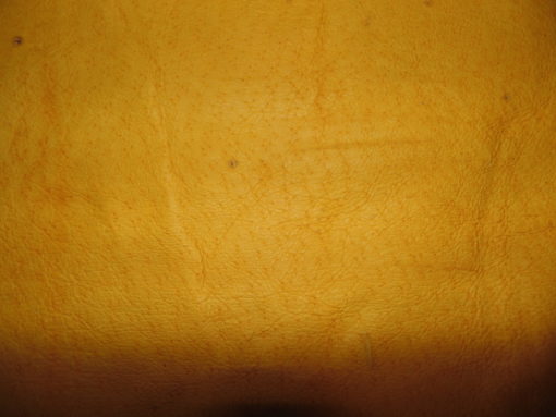 PIEL DE CERDO AMARILLA PARA GUANTE - Imagen 5
