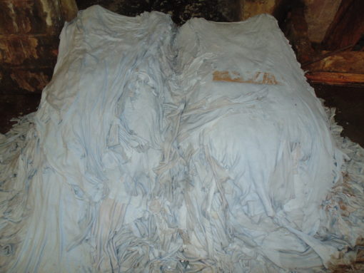 PIEL DE RES EN WET-BLUE  - Imagen 4