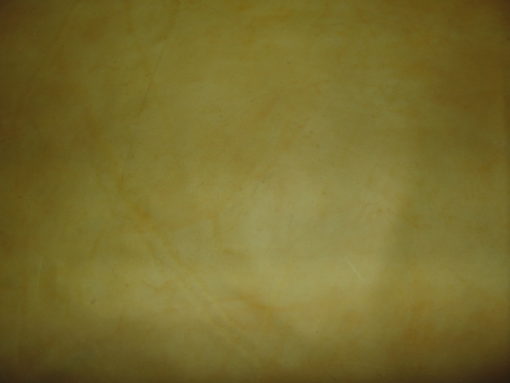 PIEL DE RES AMARILLA PARA GUANTE - Imagen 7