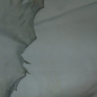 PIEL DE CERDO NATURAL PARA GUANTE