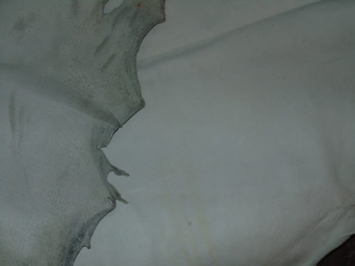 PIEL DE CERDO NATURAL PARA GUANTE